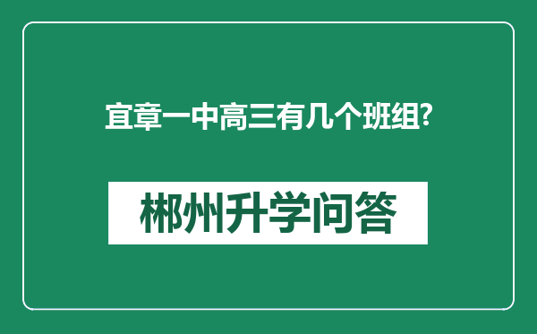 宜章一中高三有几个班组?